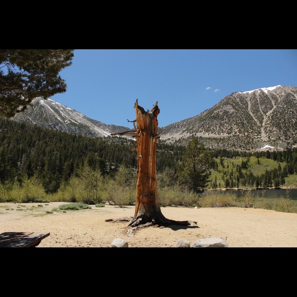 Meet your Posher, Hannah - Picture 3 of 4